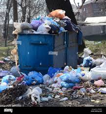 Trusted Alamo, NV Junk Removal Services Experts