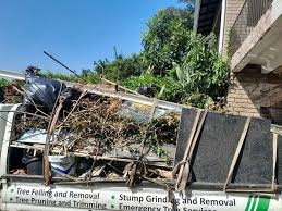 Best Moving and Downsizing Cleanouts  in Alamo, NV